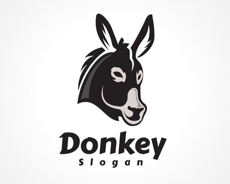 donkey, horse head front view art icon, symbol, logo design inspiration illustration