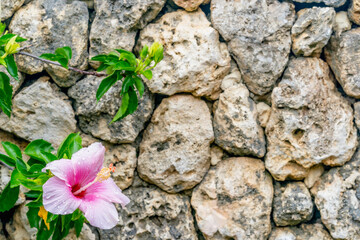 沖縄の石壁