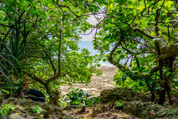 石垣島の空と岩場の自然