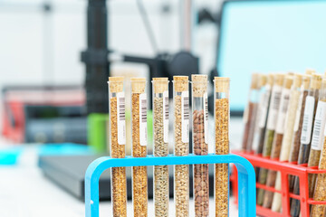 Research Analyzing Agricultural Grains And seeds In The Laboratory