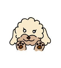 Smiling white toy poodle dog hand writing vector cartoon illustration