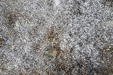 Blurred background made of air bubbles under frozen water in winter