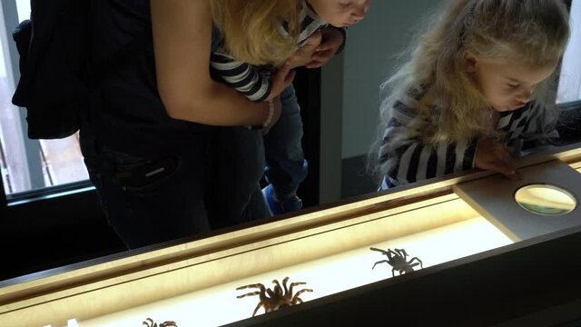 Woman with kids look at huge stuffed spider through optical glass. Gimbal motion
