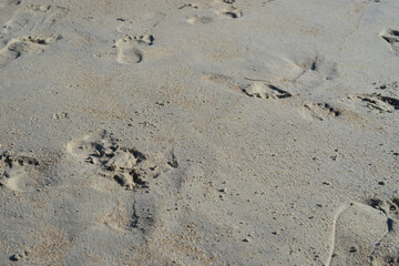 Natural background of sand with the prints of human feet