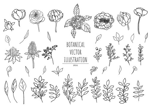 線画の植物セットモノクロ,花と草の植物素材ベクター,ボタニカルシンプルイラスト