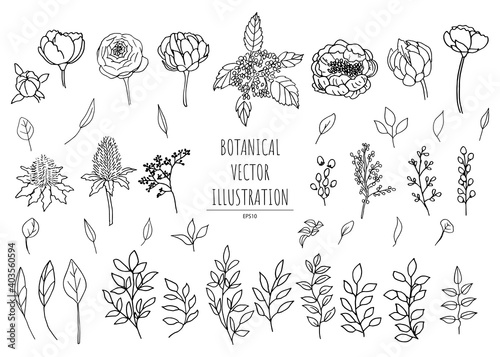 線画の植物セットモノクロ 花と草の植物素材ベクター ボタニカルシンプルイラスト Wall Mural Moni
