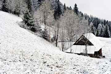 winter in the mountains