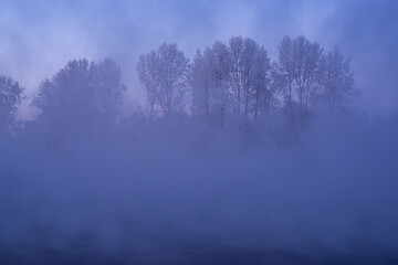 Winter trees in mountains covered with fresh snow