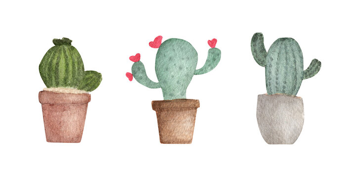 Watercolor illustration set cactus in flower pots.