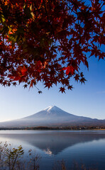 Autumn at Mt.Fuji