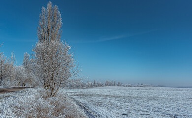 Winter moring among fields