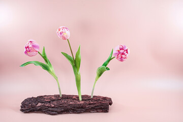 Picture modern flower decoration, Pink Tulips. Springtime motif, Easter design for postcard, poster, Valentine's Day, invitations, magazines, isolated on pink background.