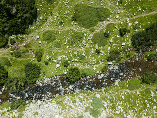Banderitsa River at Pirin Mountain, Bulgaria