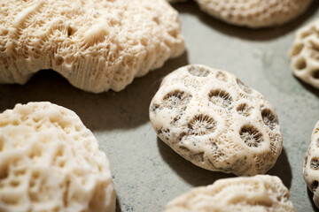 White coral stones