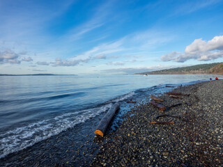 Carkeek Park