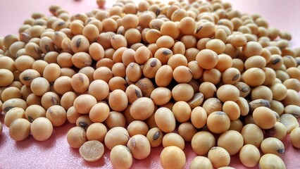 A pile soybeans isolated on pink background. Glycine max is the best nut for protein intake