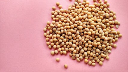 A pile soybeans isolated on pink background. Glycine max is the best nut for protein intake