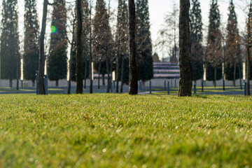 Autumn walk in 2020 in Krasnodar park
