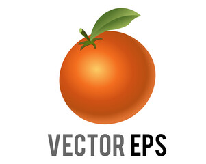 Vector citrus fruit orange, tangerine, mandarin with a green leaf, stem icon