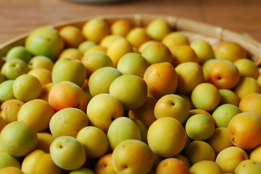 完熟梅 Images Browse Stock Photos Vectors And Video Adobe Stock