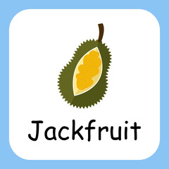 Flat Illustration of Jack Fruit with Text Vector Design. Education for Kids.