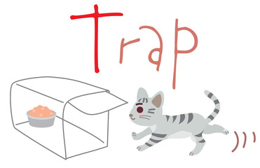 地域猫TNRのためのTrap