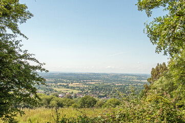 Summertime trees around the Malvern hills of England.