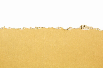Torn brown corrugated cardboard on white background. Ripped piece of cardboard with copy space for...