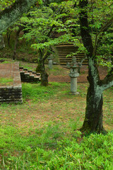 Roads, stone lanterns and stairs in the forest