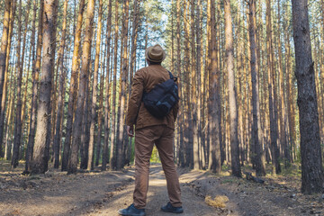 Fototapeta premium a man stands on a forest road with a backpack and a hat with his back to us and looks up