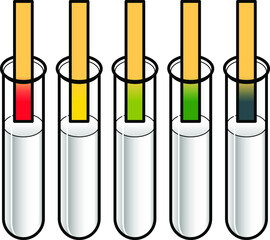 Litmus pH test strips in test tubes showing a range of colours.