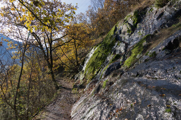 Picturesque landscape at a hiking trail in Naturns in South Tirol in autumn, moss on the rocks and autumn leaf, blue sky, no people