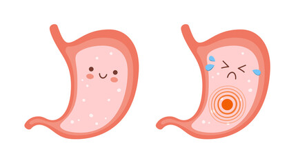 Smiling healthy stomach and sad sick stomach character. Gastritis, indigestion and ulcer problems. Vector flat cartoon illustration on white background