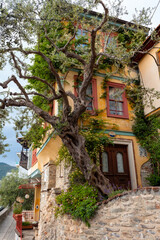 Big tree and old houses in narrow streets of Kavala, Greece