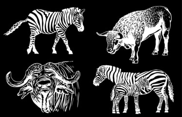 Fototapeta na wymiar Vector set of wild animals on black background, vector illustration
