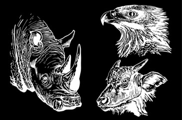 Vector set of  wild animals on black background, vector illustration