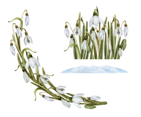 Watercolor illustrations with delicate flowers of snowdrops. Drawn by hand. Spring. Easter.