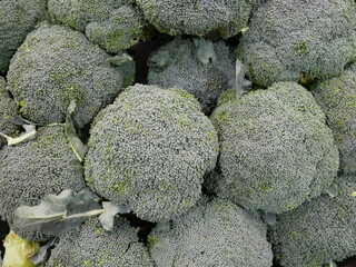 fresh green broccoli for sale on supermarket.