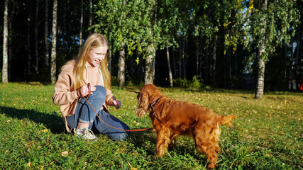 Fair haired girl smiles and plays with ginger Russian spaniel on green park grass against birch trees under bright sunlight