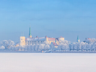 Winter skyline of Latvian capital Riga Old town with frost covered trees.
