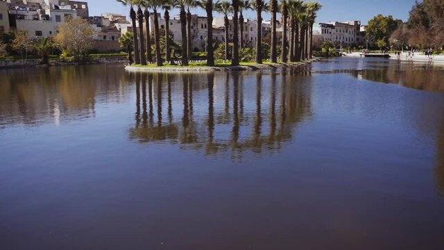 Isle Of Palm Trees In The Jnan Sbil Gardens