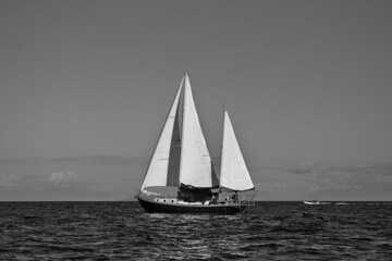 Fototapeta premium sailboat on the sea, black and white
