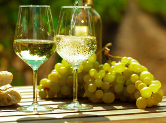 glass of White wine ripe grapes and bread on table in vineyard