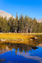 Fototapeta premium The Tioga Road in Yosemite Park