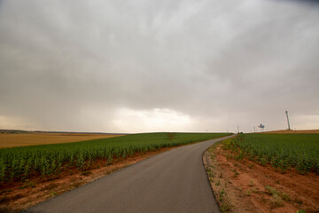 road in the field