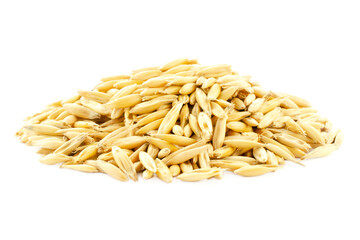 Oat seeds isolated on white, close-up. Oat seeds isolated on white background. Oat grains isolated on white background, close-up. Heap of oat seeds. Avena grain on a white background.