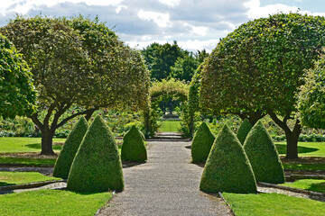  Clipped Box topiary bushes in a formal garden