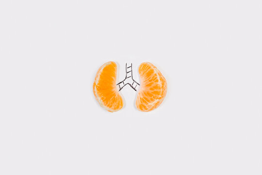 Dos gajos de mandarina sobre un fondo gris claro liso y aislado simulando pulmones. Vista superior. Copy space. Concepto: Pulmones, ri&ntilde;ones. Organos del cuerpo humano