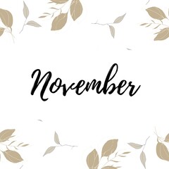 Month of November with flower leaf in frame white background