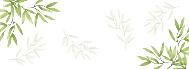 Fototapeta na wymiar Bamboo green leaf in frame template pattern background 